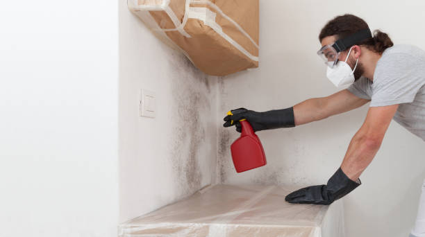 Professional Bathroom Mold Removal technician working in Huntingdon Valley, PA